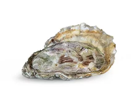 20 - 29 units per kg