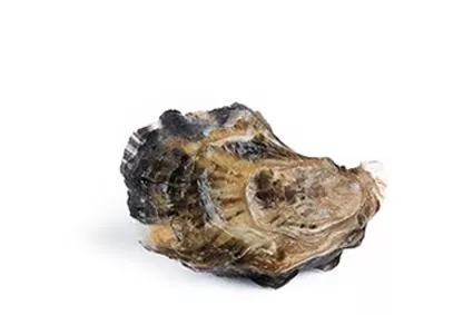 40 - 54 units per kg