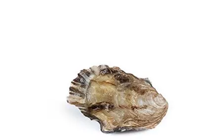 55 - 74 units per kg