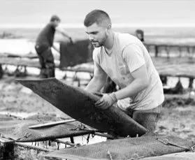 Raising: Oyster production in France