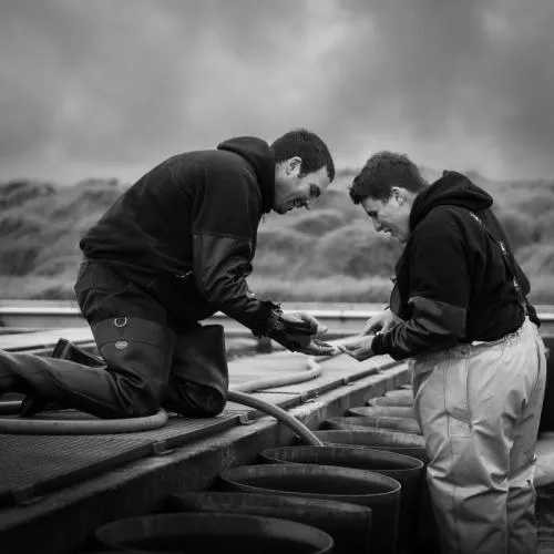 Teaching the expertise of oyster farming